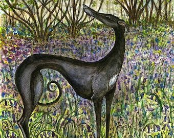 Greyhound  Art Print