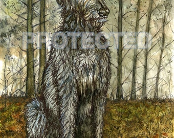 Irish Wolfhound Art Print