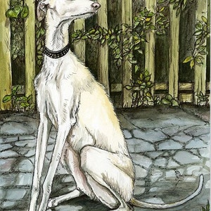 La amistad interminable - Greyhound Galgo Art Dog Print