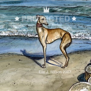 Italian greyhound Art Print