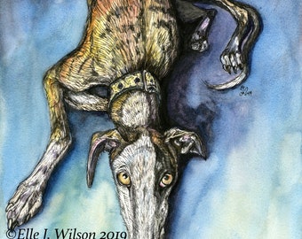 Dog Art Print - Greyhound Galgo