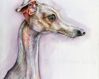 Italian Greyhound Dog Print