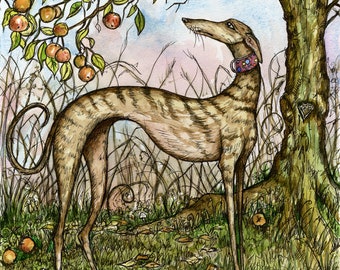 Greyhound Art Print