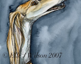 Saluki HOND AFDRUKKEN