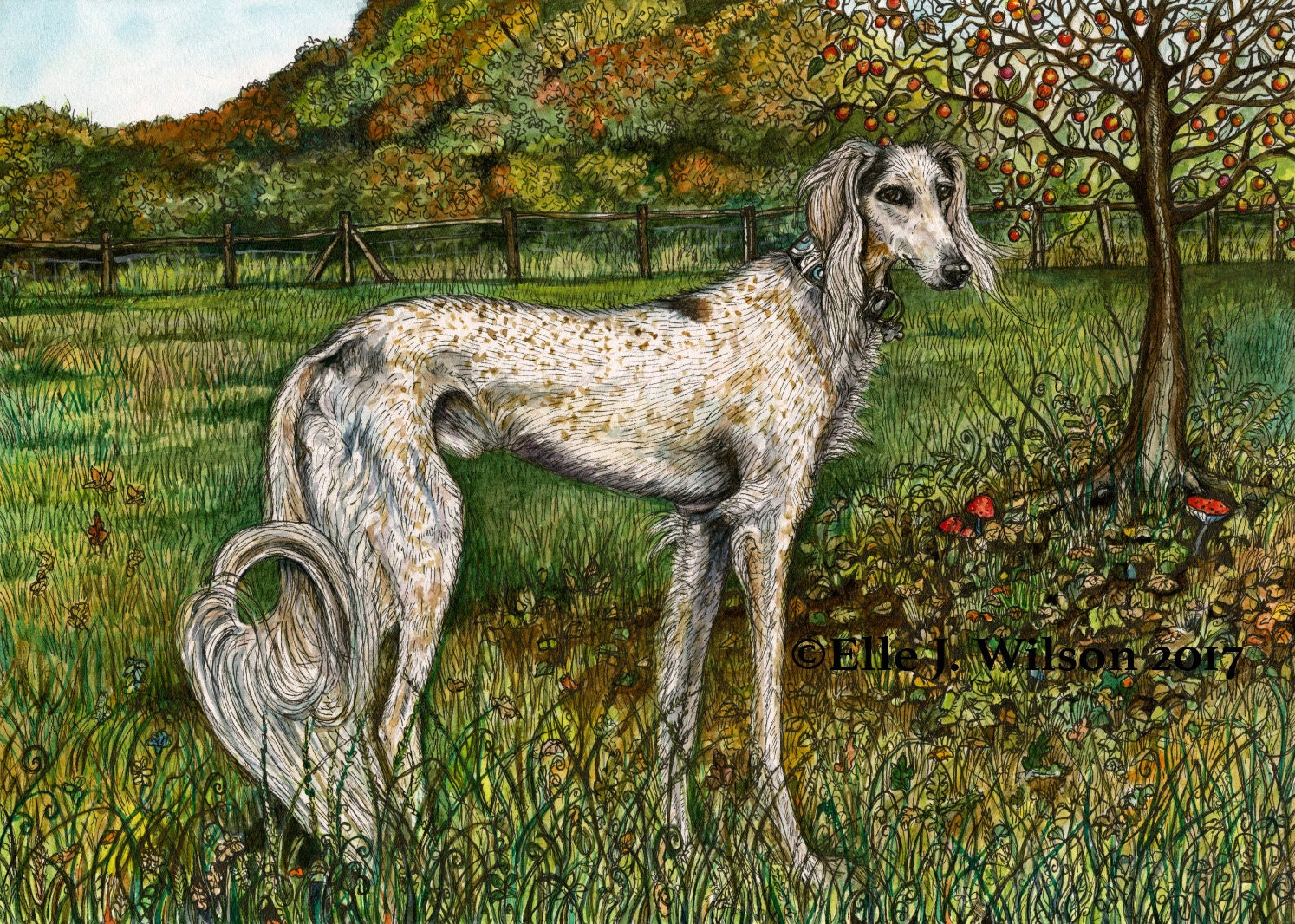 Saluki Art Canada