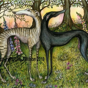 Greyhound Art Dog Print