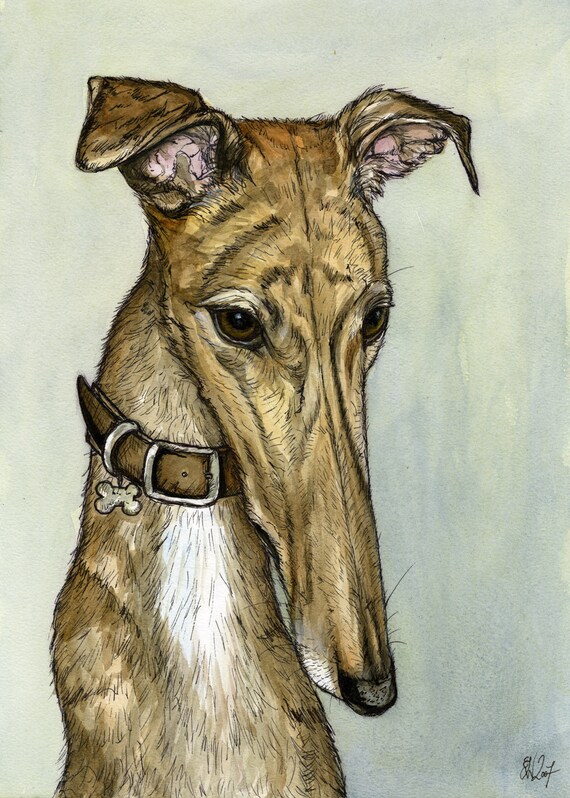 greyhound art