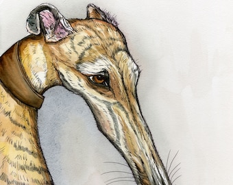 Greyhound  Art Print