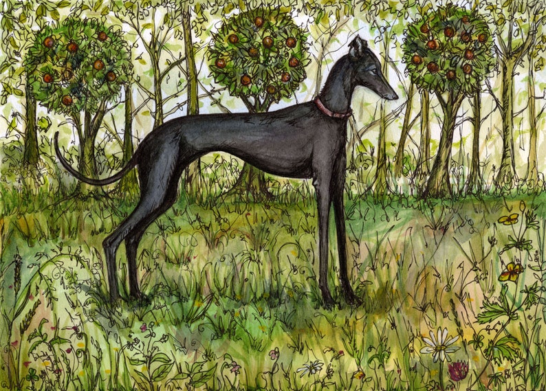 Dog Art Print Italian Greyhound image 1