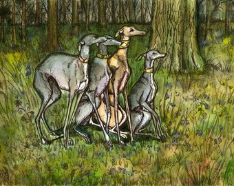 Italian Greyhound Art Dog Print
