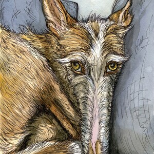 Ibizan Hound Dog Print