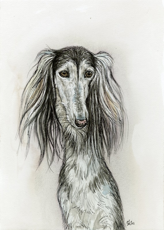 Saluki Dog Print Etsy