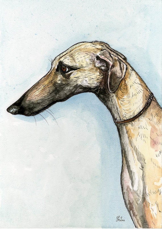 Saluki Sloughi Hound SLOUGHI DOG PRINT
