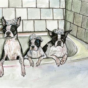 Boston Terrier Dog Art Print