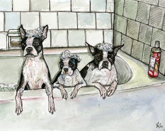 Boston Terrier Dog Art Print