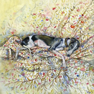 Whippet  Art Dog Print