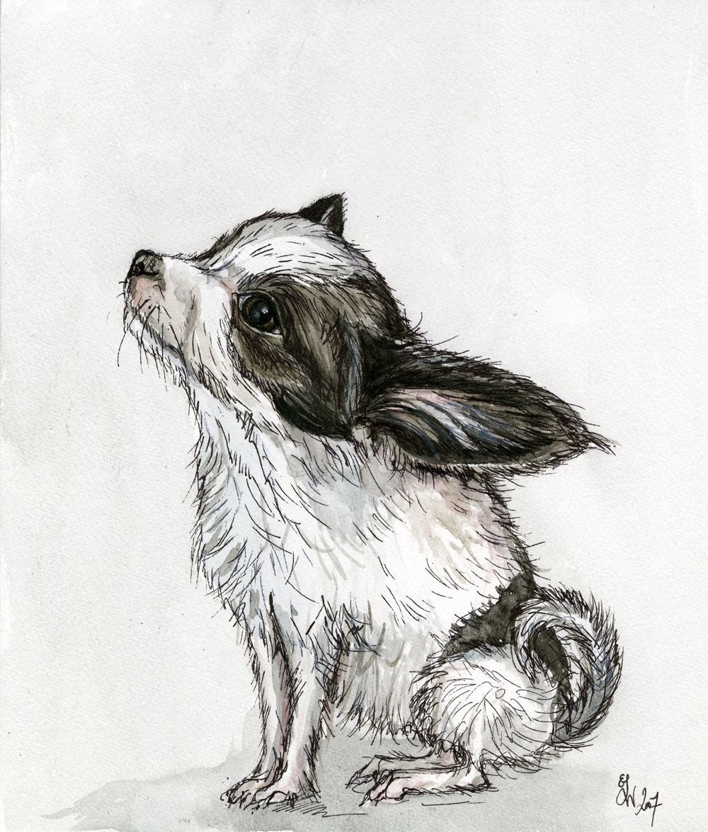 Chihuahua DOG Art Print - Etsy