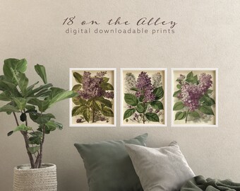 Set of 3 Lilac Digital Art Prints, Floral Illustrations for Instant Download