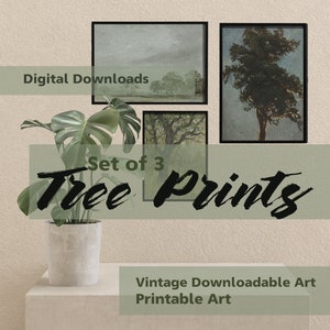 Set of 3 Vintage Trees Digital Download Art Prints - Instant Downloads
