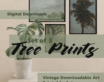 Set of 3 Vintage Trees Digital Download Art Prints - Instant Downloads