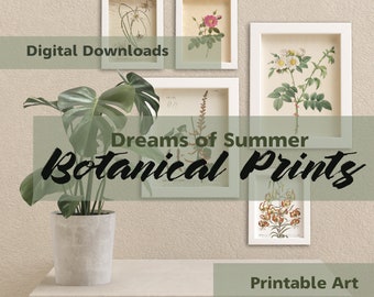 Floral Art Prints - Digital Downloads