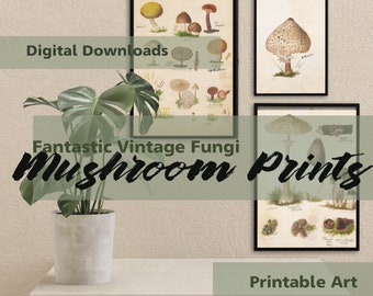 Set of 3 Vintage Mushrooms Digital Download Art Prints - Instant Downloads