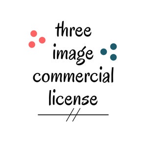 Kommerzielles Lizenzpaket mit drei Bildern - 1500 PHYSICAL PRODUCT SALES