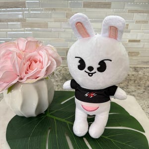 Straykids 20cm Plushies, Kpop Plushies, Skzoo Plushies