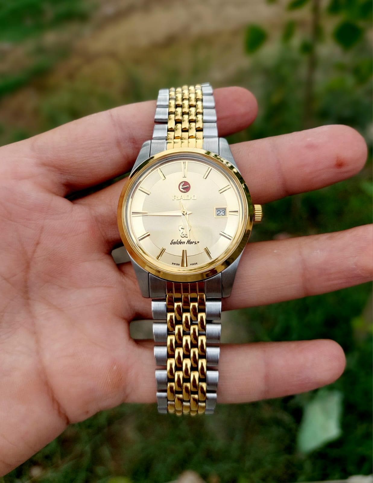 Rado Golden Horse - Etsy