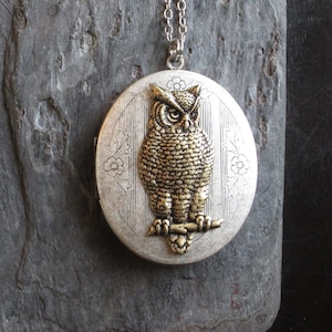 Owl locket, bird necklace, silver owl locket, long necklace, owl jewelry, large locket, unique necklace, unique holiday gift ideas