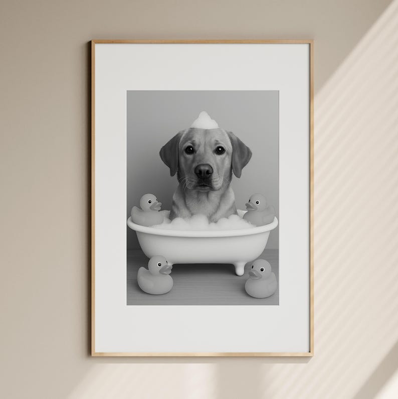 May include: Black and white framed print of a Labrador Retriever in a bathtub with bubbles and four rubber duckies. The dog has a foam hat and is looking directly at the camera. The bathtub is white with small feet.