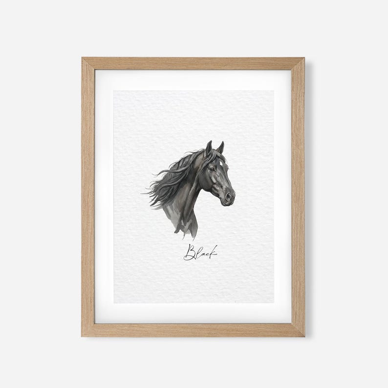 Personalized Horse Gift, Hand Drawn Custom Horse Portrait, Horse Lover Gift, Unique Gift for Horse, Equestrian Gifts, Horse Rider Gift