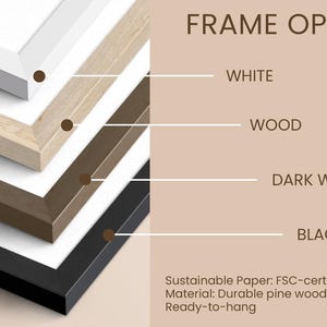 Frame colors options
