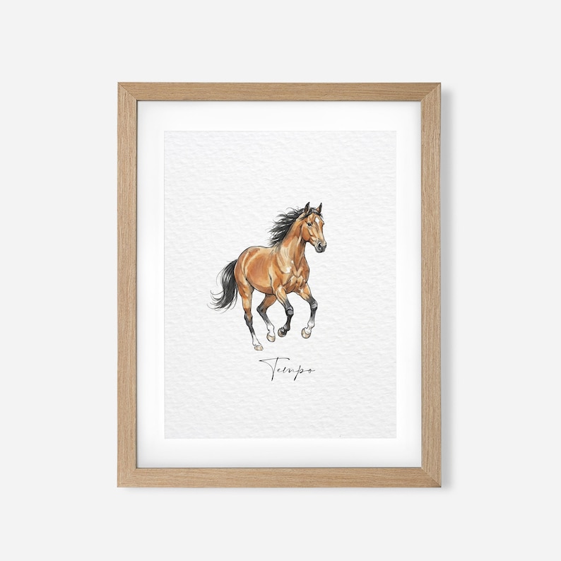 Personalized Horse Gift, Hand Drawn Custom Horse Portrait, Horse Lover Gift, Unique Gift for Horse, Equestrian Gifts, Horse Rider Gift