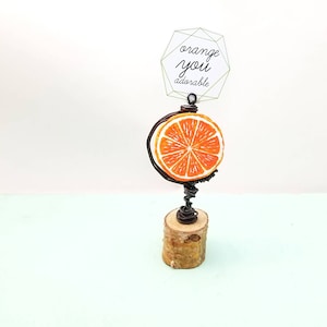 Portafoto ricordo in cartapesta, miniatura di frutta su supporto: Orange You