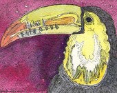 ACEO Bird Toucan  from Theodora