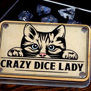 Crazy dice Lady dice box and cat dice set, Role playing games, DnD, For Dungeons and Dragons Inspired Adventures | Dice Box Set Game Kit