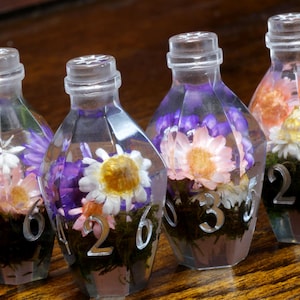 May include: Five clear glass bottles with cork tops filled with dried flowers and moss. Each bottle has a number on the side, 2, 3, 6, and 26.