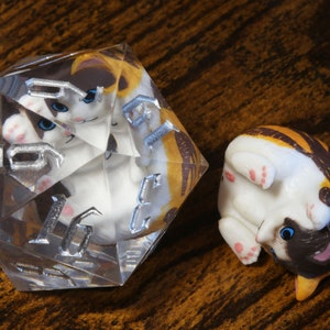 Calico Kitty D20 - Large D20 with kitten inside, Role Playing game, D&D Dice set, dungeons and dragons, Exclusive Limited Edition