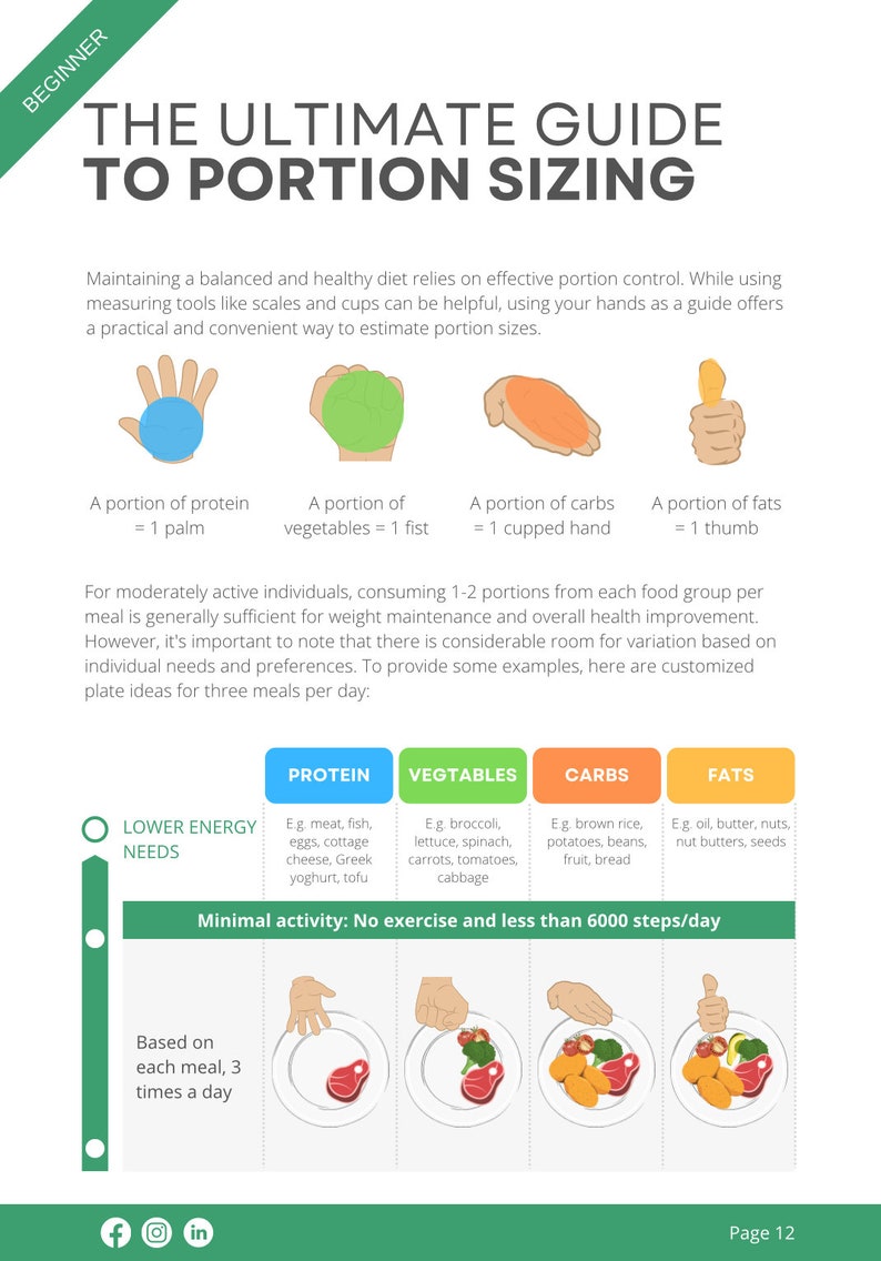 Nutrition Guide Using Hand Meal Prep Guide for a Healthy Diet - Etsy