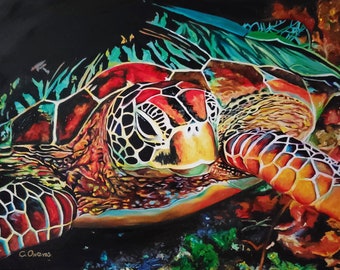 Turtle Notecards (5)