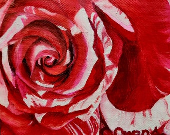 A Peppermint Rose oil painting