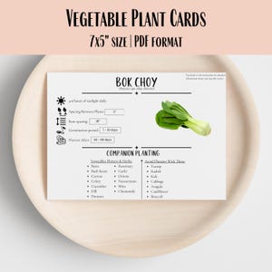 30 Vegetable Growing Info Cards – Printable 7x5” Flashcards for Gardeners – Planting Guide with Sun, Spacing, Time And Companions