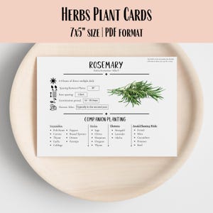 Printable Herb Gardening Cards – Set of 30 – 7x5" Flashcards with Companion Planting Tips for Herbs, Vegetables And Flowers
