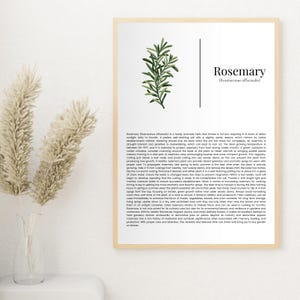 Indoor Plant Care Printable Wall Art Rosemary Botanical Print Home Decor for Gardeners and Plant Lovers Digital Artwork