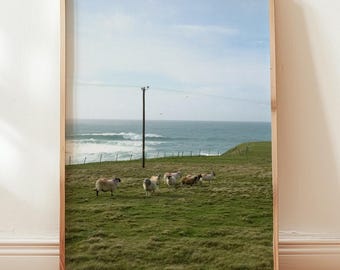 Ireland Coast Print - Rugged Coastline Photography - Big Waves - Coastal Ireland Wildlife Print - Sheep Ireland - Beach House Art