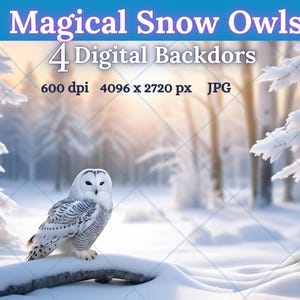 Lot de 4 toiles de fond numériques Harfang des neiges magiques ; Fonds de forêt de Noël d'hiver pour photos et cartes de vœux de famille et d'enfants ; 600 ppp