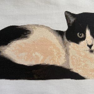Tuxedo Cat Cross Stitch Pattern