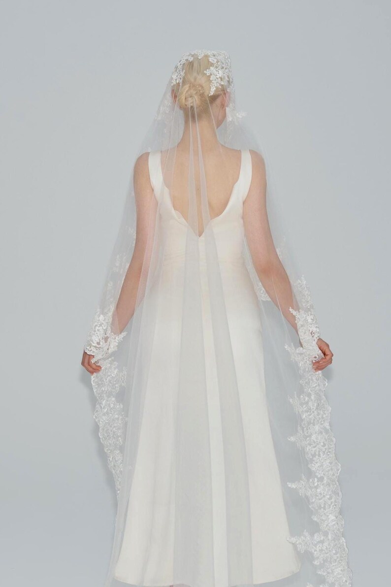 May include: A white bridal veil with a delicate lace trim. The veil is long and flowing, and it is worn over a white dress.