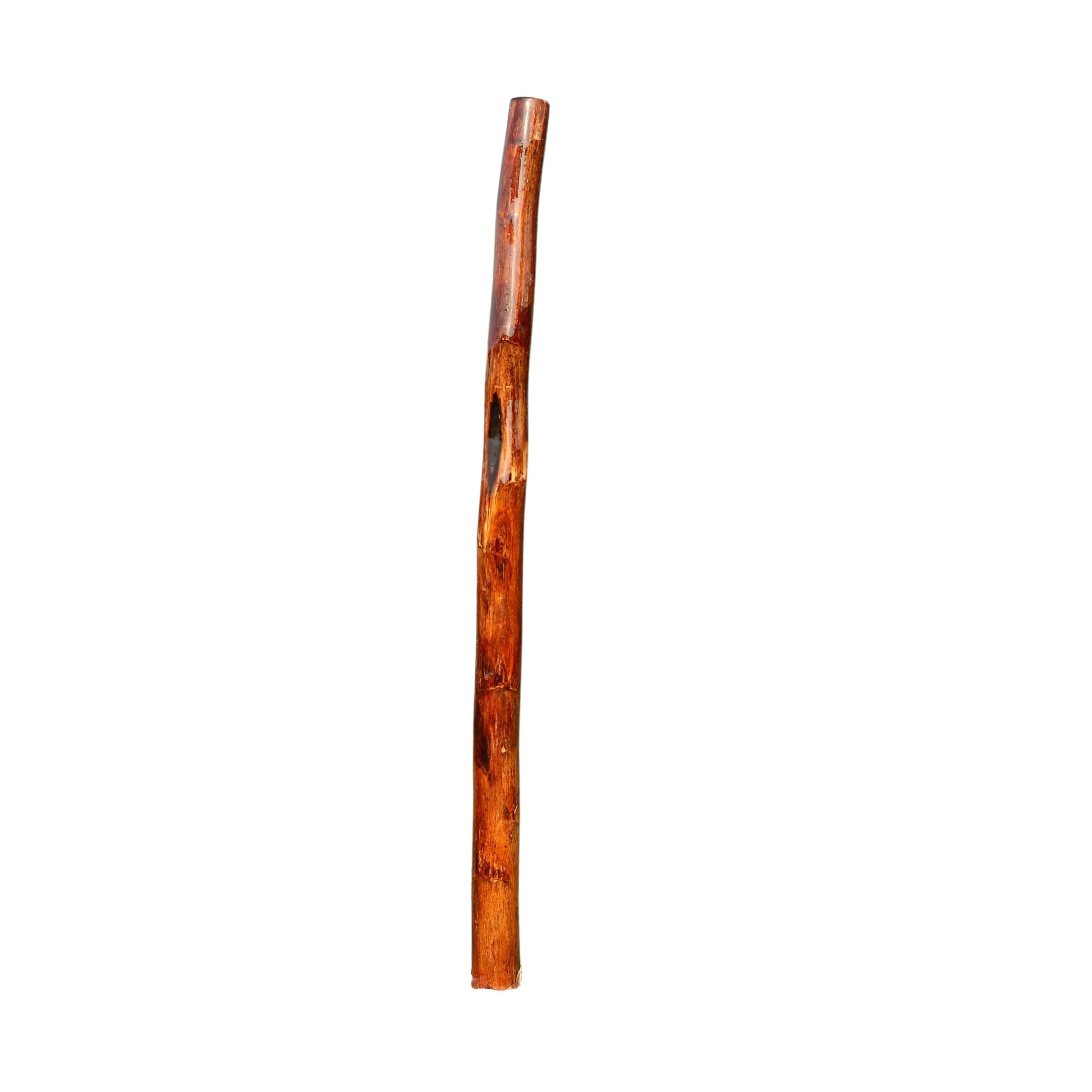 Agave didgeridoo - Etsy 日本
